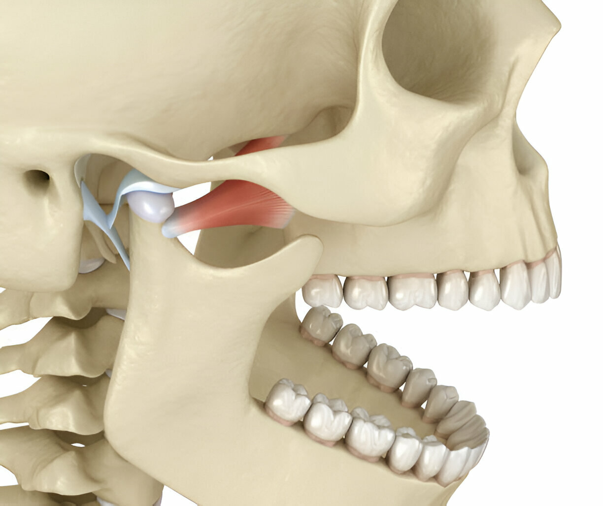 Why the Dental Care Center of South Kansas City is the Premier Choice for TMJ Treatment in Kansas City, Missouri_1